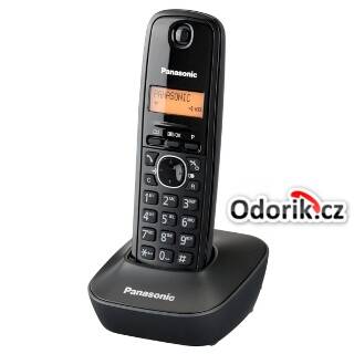 panasonic-kx-tg1611fxh.jpg